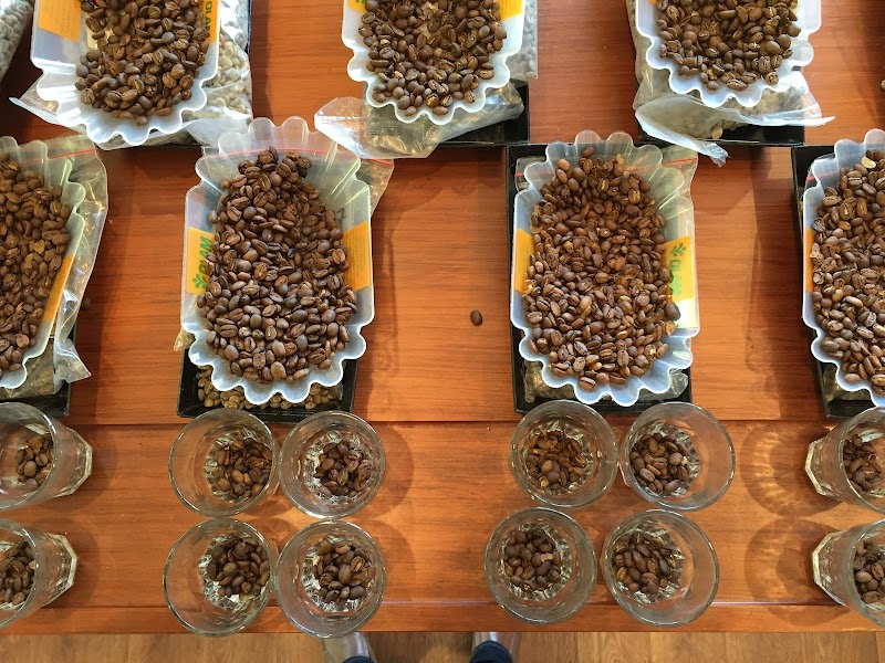 Olam Specialty Coffee photo 3