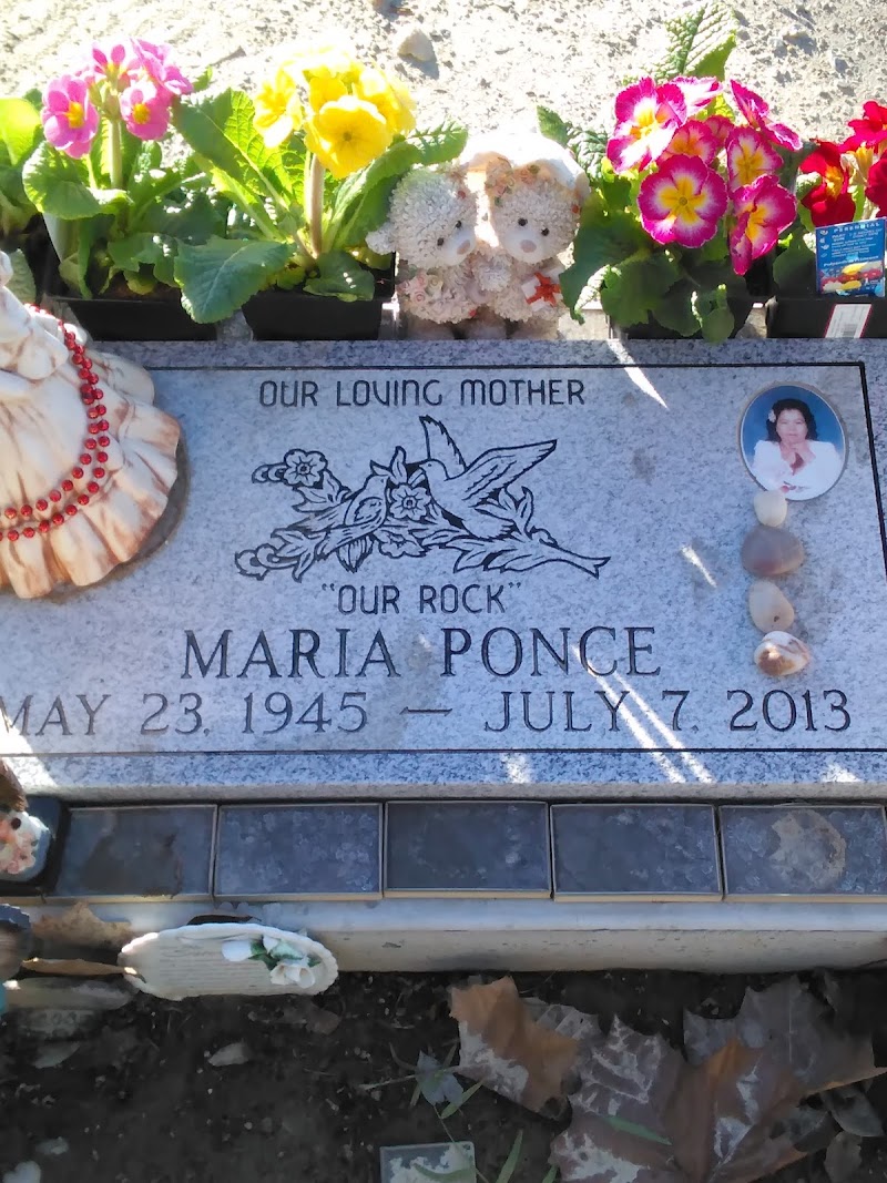 Shiloh District Cemetery photo 4