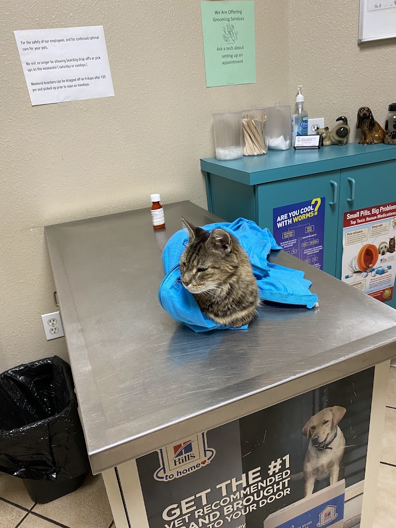 Animal Care Center-Weeki Wachee photo 3