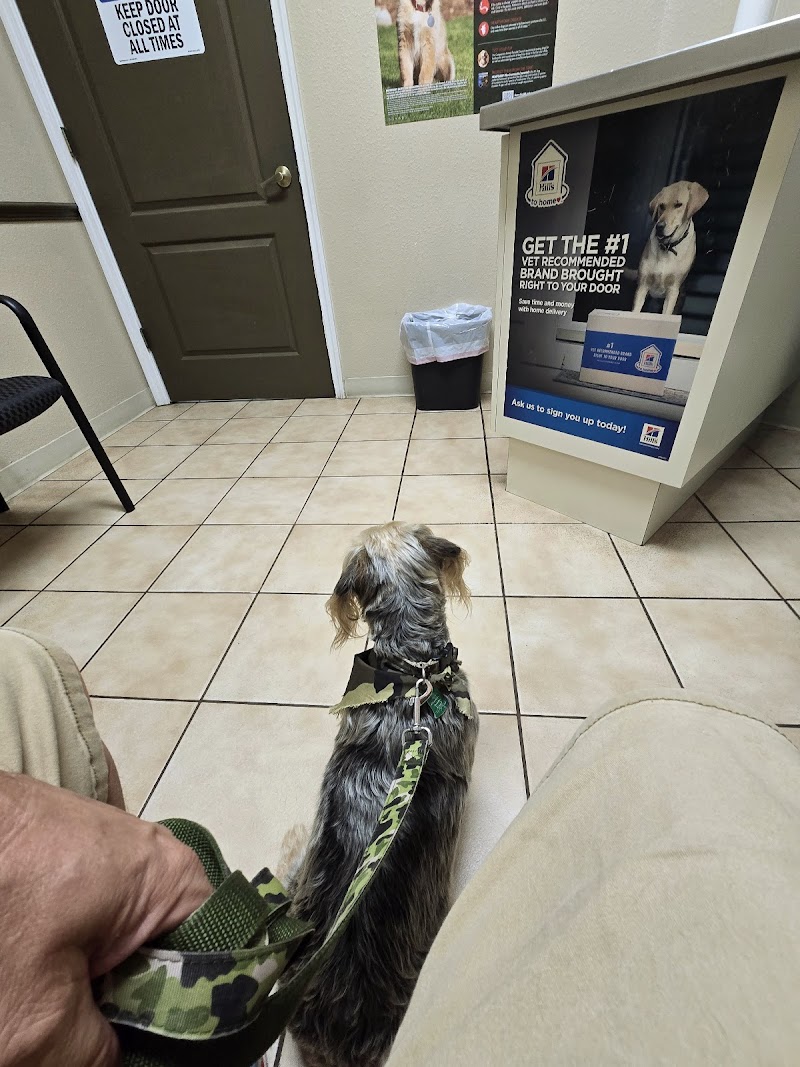 Animal Care Center-Weeki Wachee photo 4