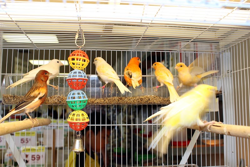 El Granero Feed & Pet Supplies photo 3
