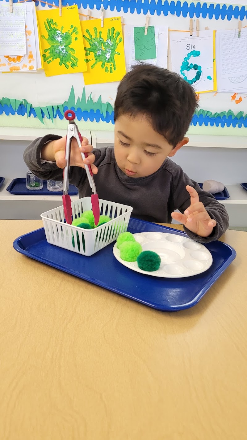 Learn and Play® Montessori School & Child Care Silvergate photo 4