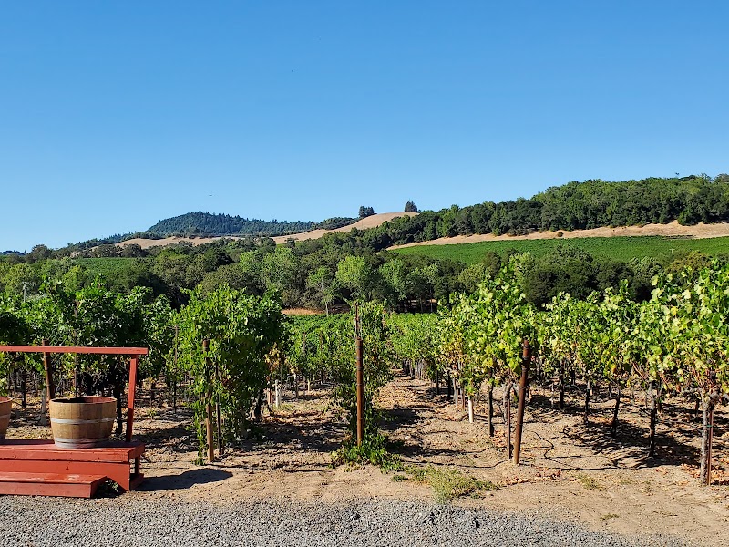 Viszlay Vineyards photo 2
