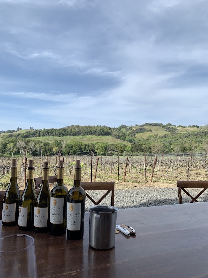 Viszlay Vineyards photo 3