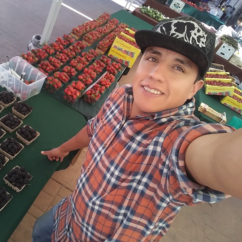 Rodriguez Farms photo 4