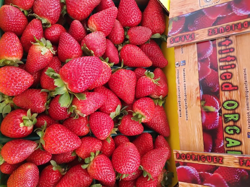 Photo of Rodriguez Farms