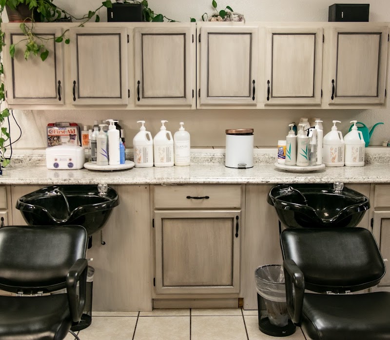 VENUE HAIR STUDIO photo 3