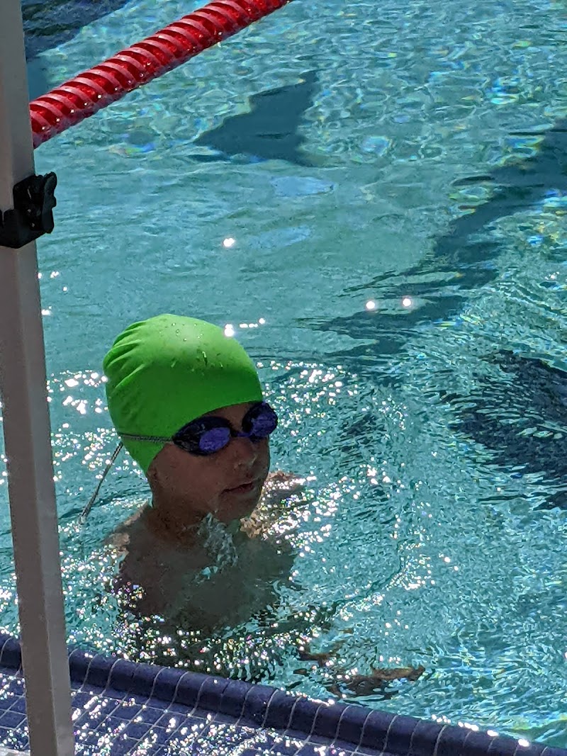 Public swimming pool photo 2