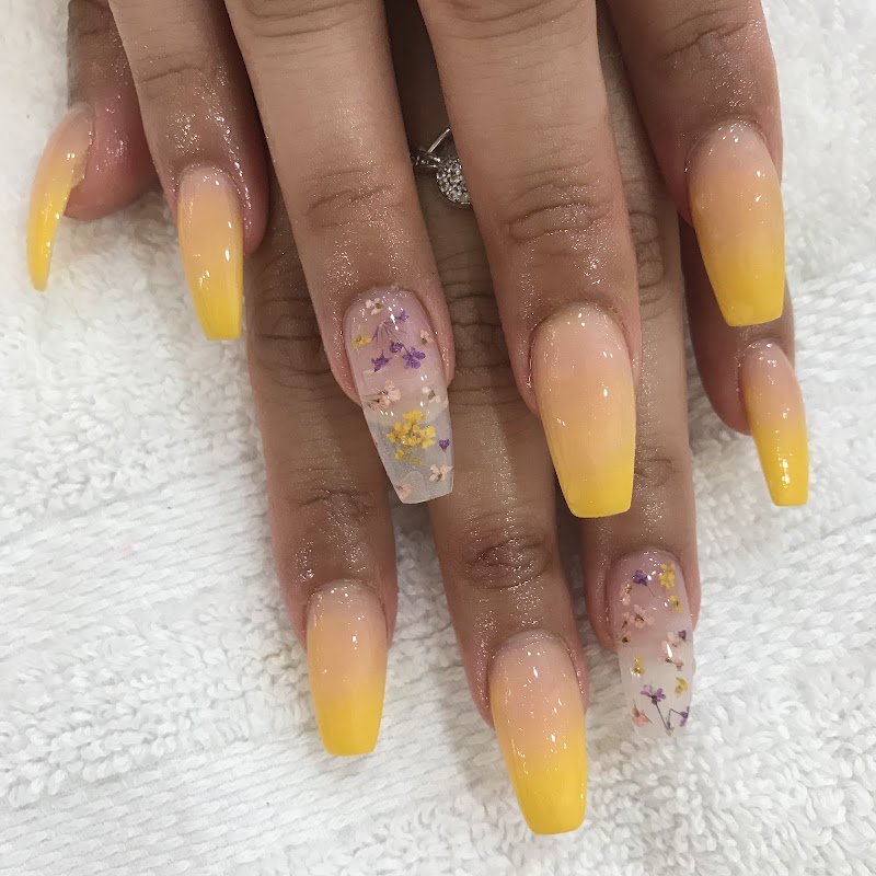 Star Salon and Spa Cotati photo 5