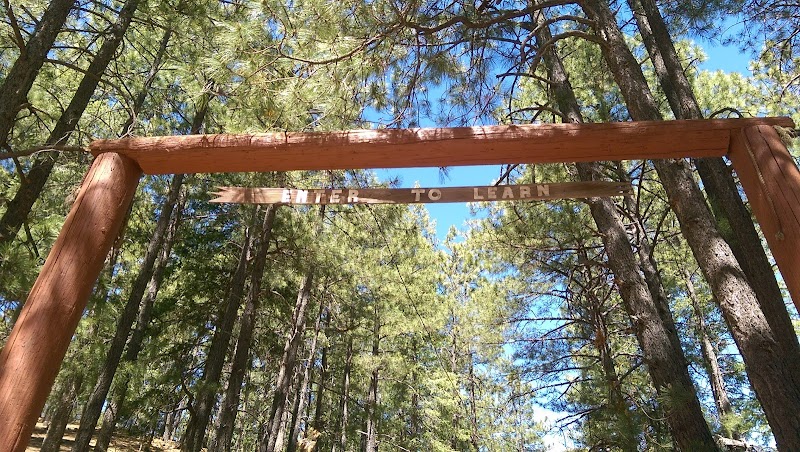 Southern Pines Baptist Camp photo 5