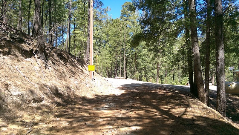 Southern Pines Baptist Camp photo 4