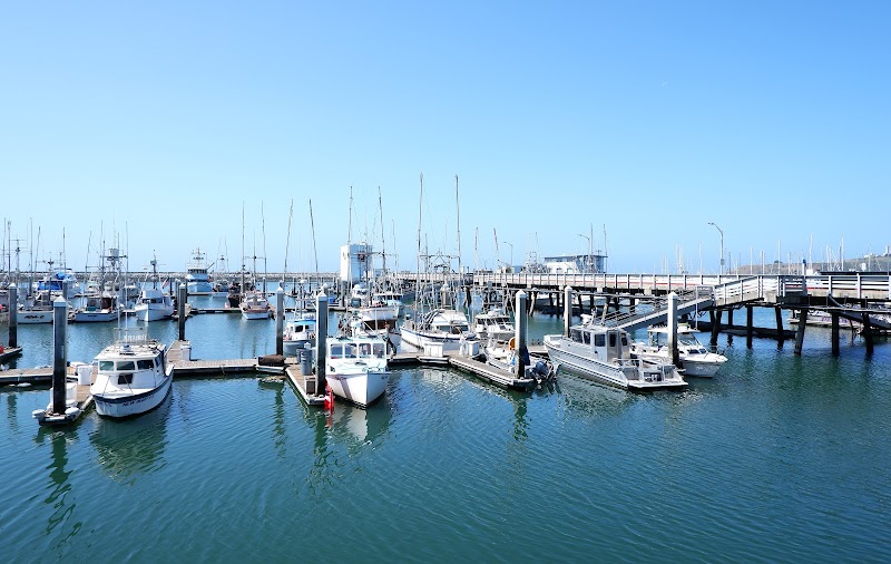 Pillar Point Harbor Beach photo 2