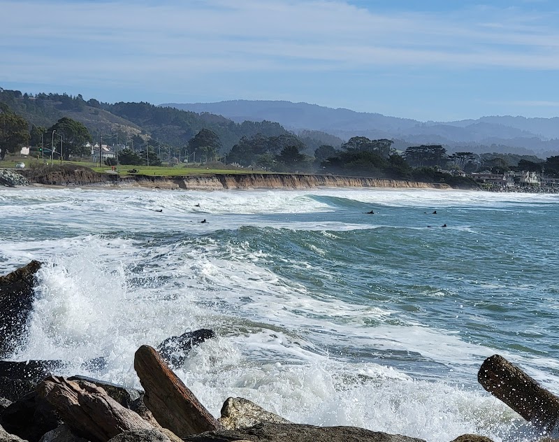 Pillar Point Harbor Beach photo 5