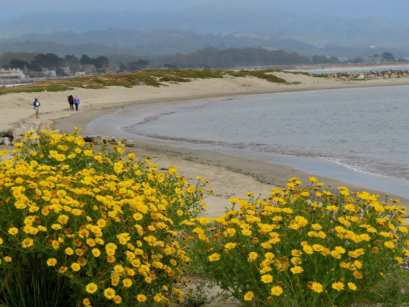 Pillar Point Harbor Beach photo 3