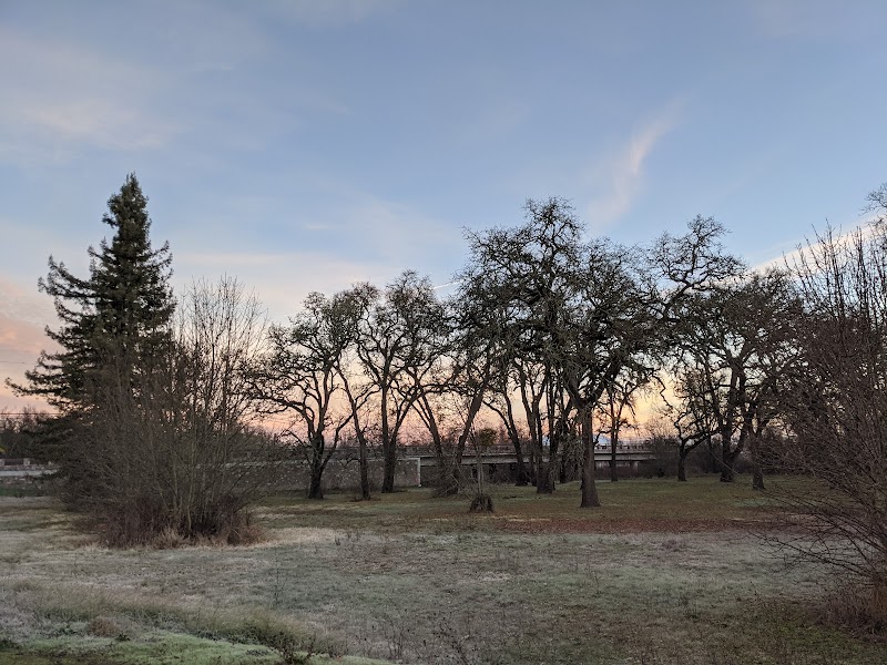 Tomodachi Park (Laguna de Santa Rosa Wetlands Preserve) photo 5