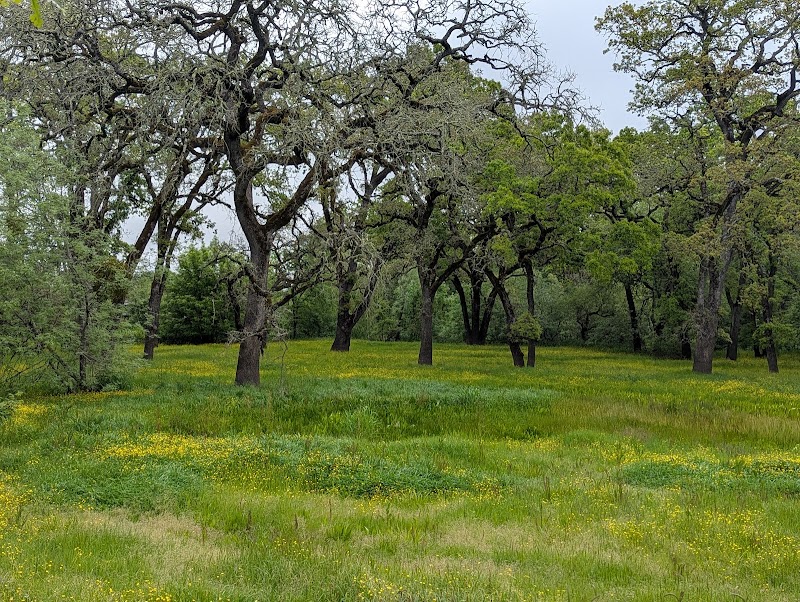 Photo of Tomodachi Park (Laguna de Santa Rosa Wetlands Preserve)