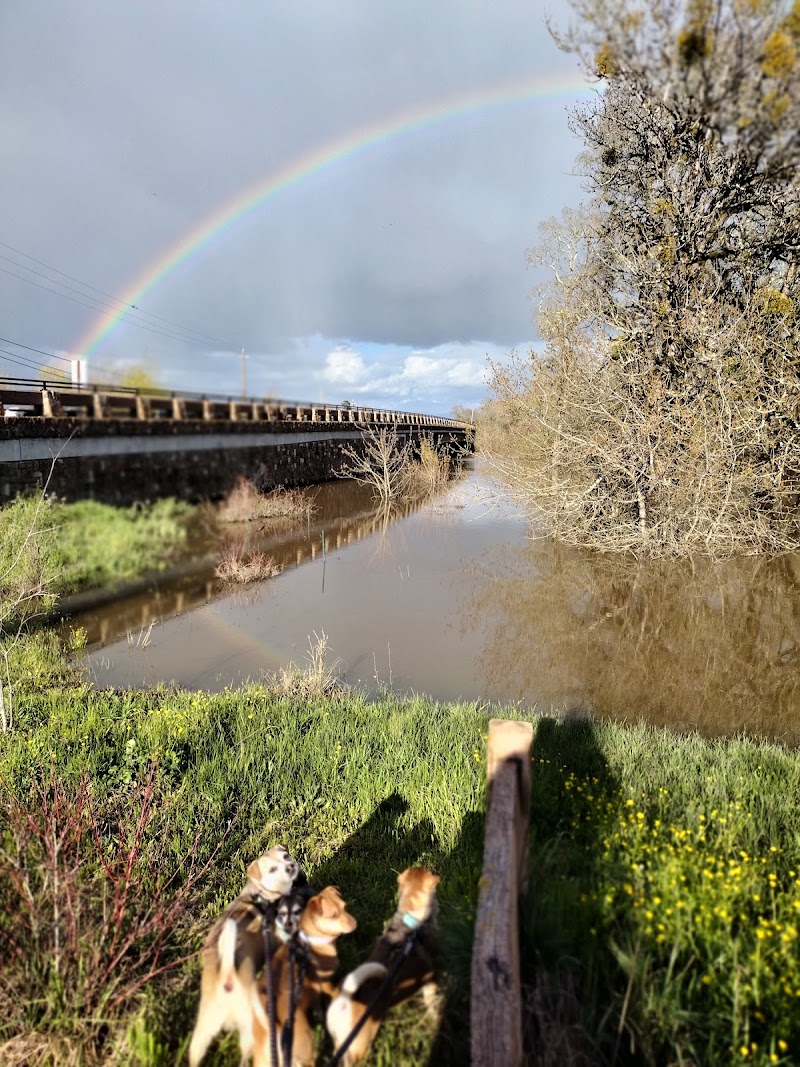 Tomodachi Park (Laguna de Santa Rosa Wetlands Preserve) photo 2