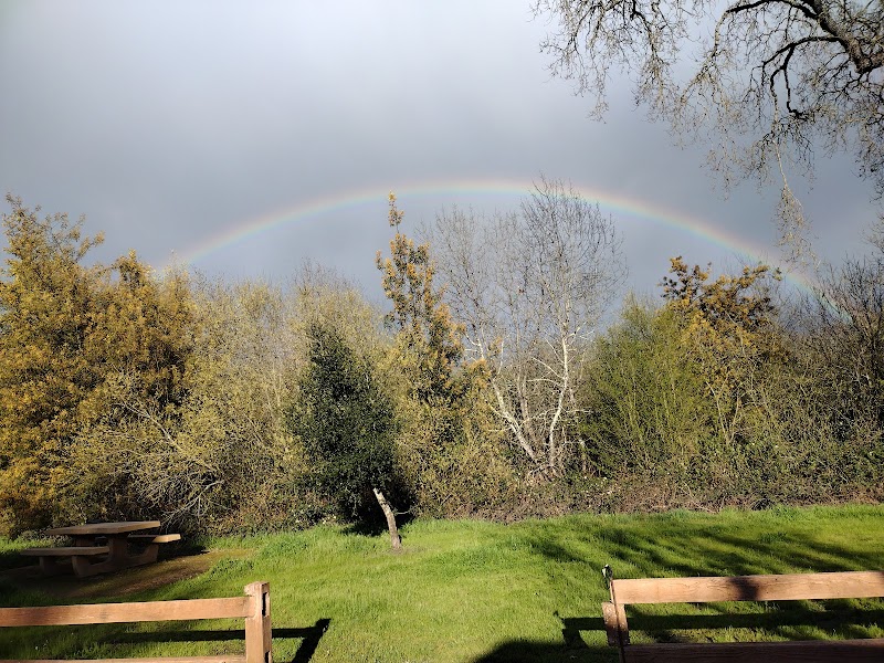 Tomodachi Park (Laguna de Santa Rosa Wetlands Preserve) photo 3