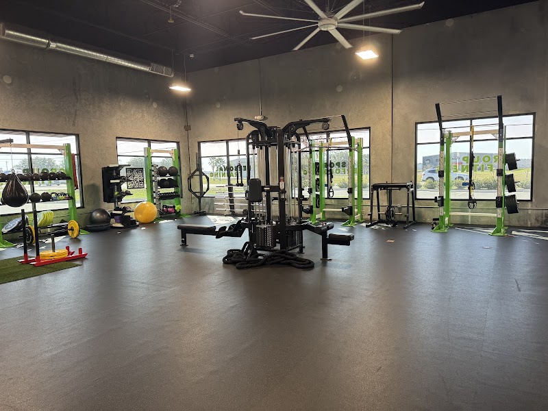 YF Wellness photo 2