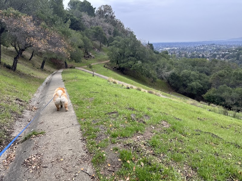 Photo of Dog Park | Heather School