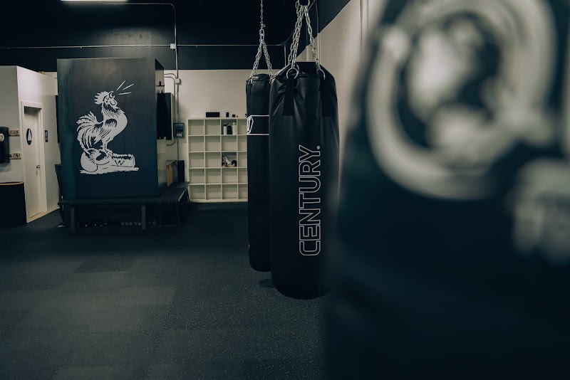 Photo of Gallos Gym - Boxing, Muay Thai & MMA