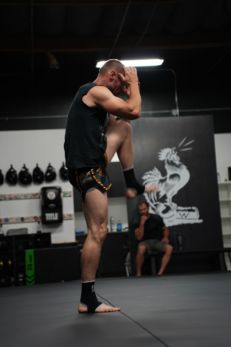 Gallos Gym - Boxing, Muay Thai & MMA photo 3
