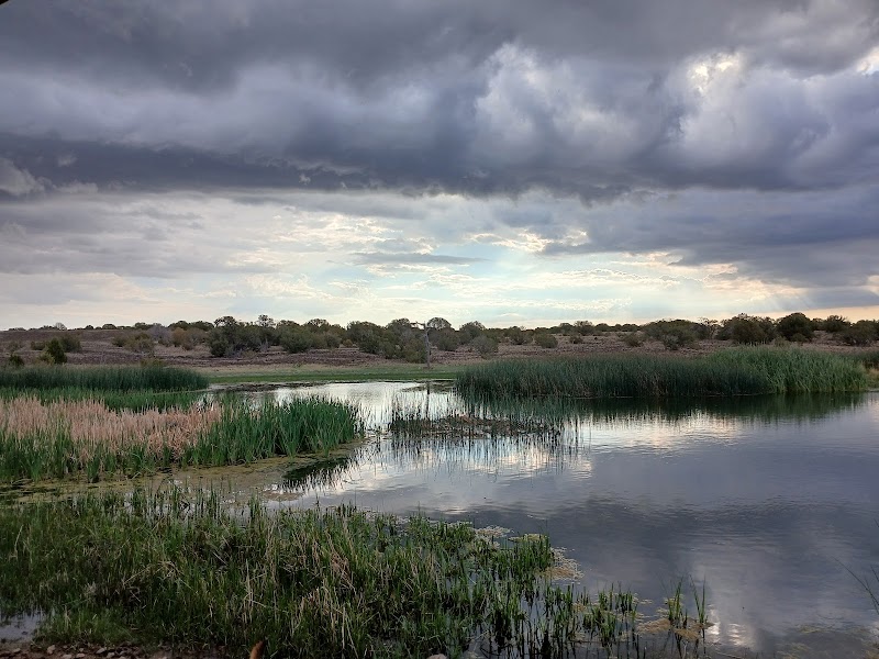 Allen Severson Memorial Wildlife Area photo 2
