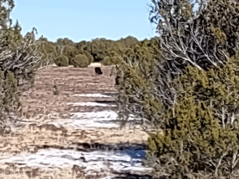 Allen Severson Memorial Wildlife Area photo 5