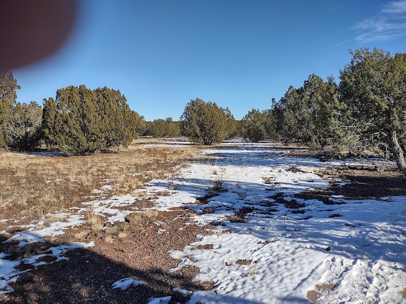 Allen Severson Memorial Wildlife Area photo 4