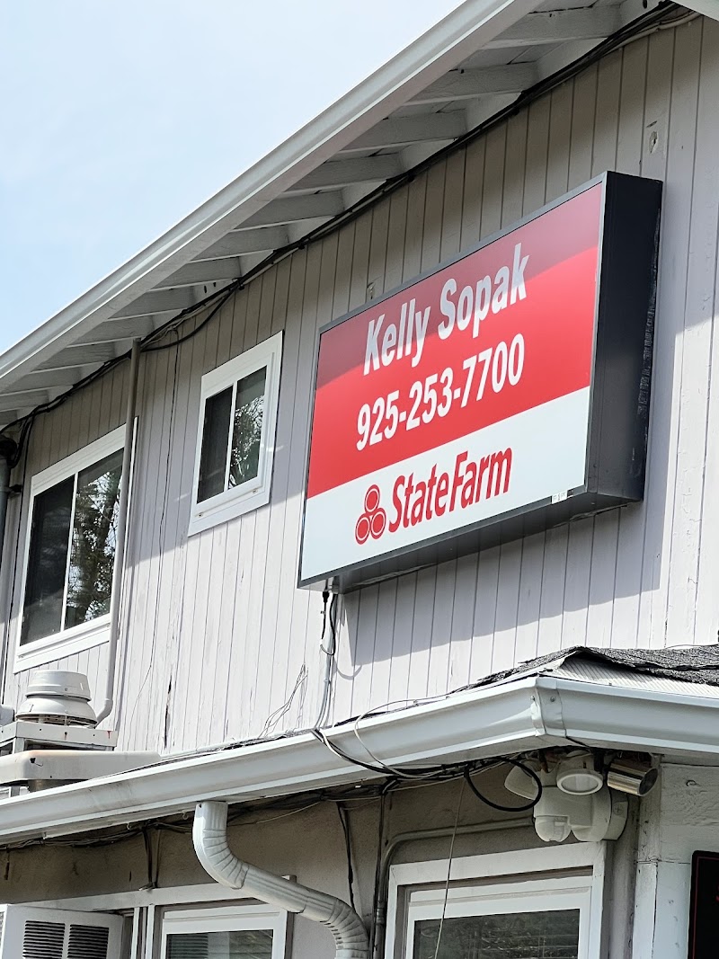 Kelly Sopak - State Farm Insurance Agent photo 2