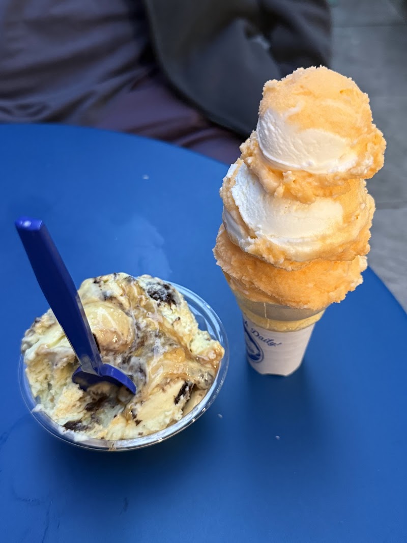 Handel's Homemade Ice Cream photo 3