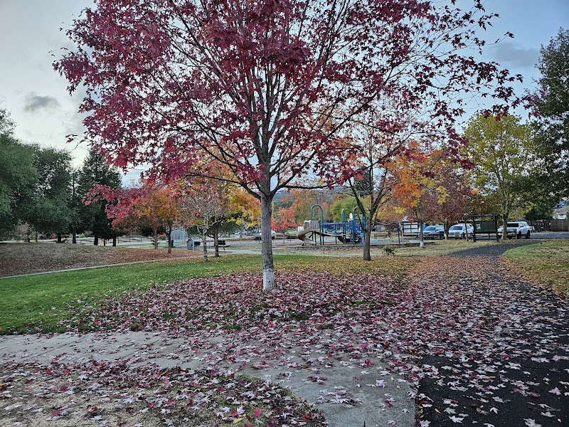Ernie Smith-Park Dog Park photo 2