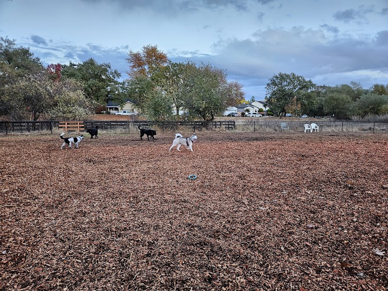 Ernie Smith-Park Dog Park photo 3