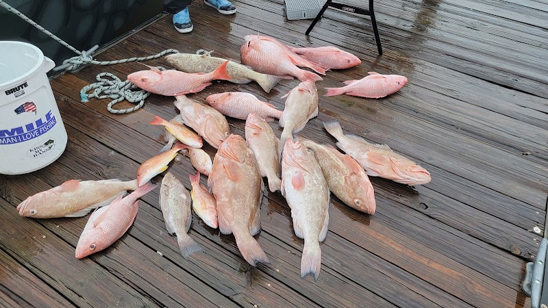 The Reel Gulf Predator Fishing Charters photo 2