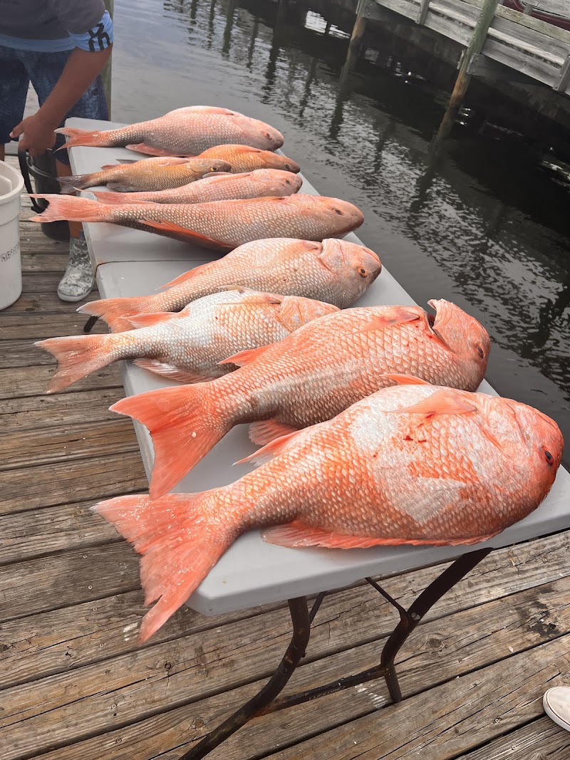 The Reel Gulf Predator Fishing Charters photo 4