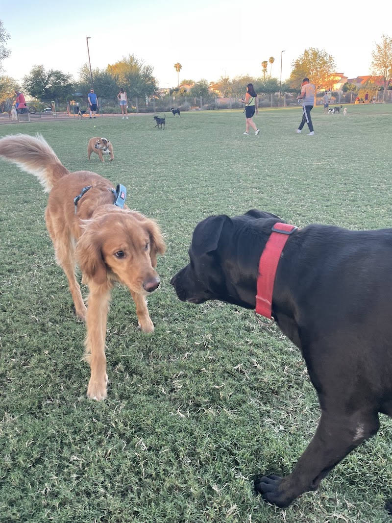 Chaparral Dog Park photo 3