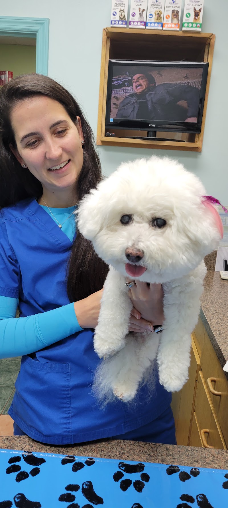 Photo of Animal and Bird Medical Center of Palm Harbor