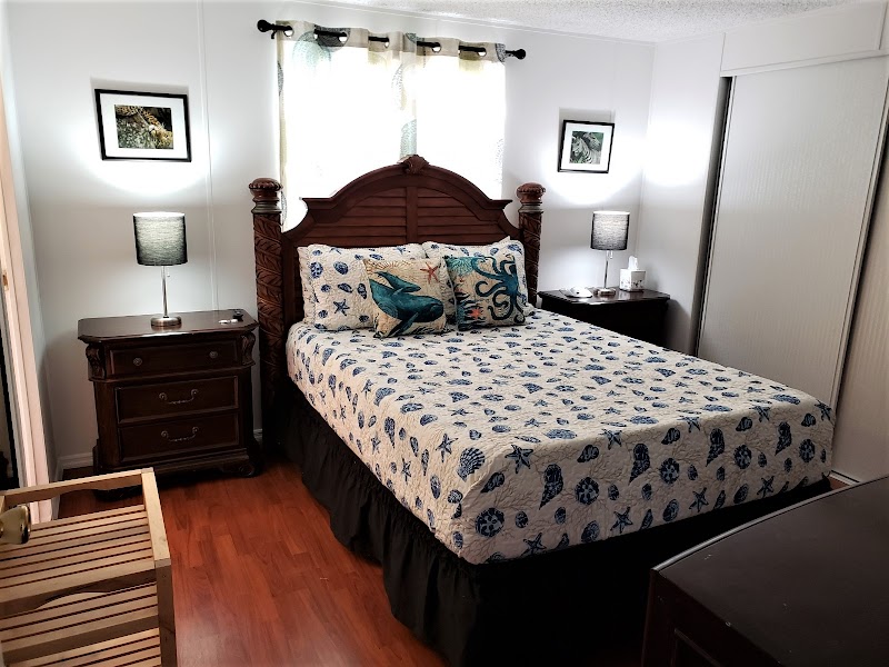 Little Frontier Resort photo 2