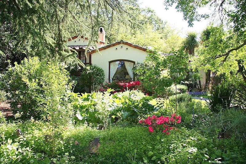 Calistoga Wayside Inn photo 5