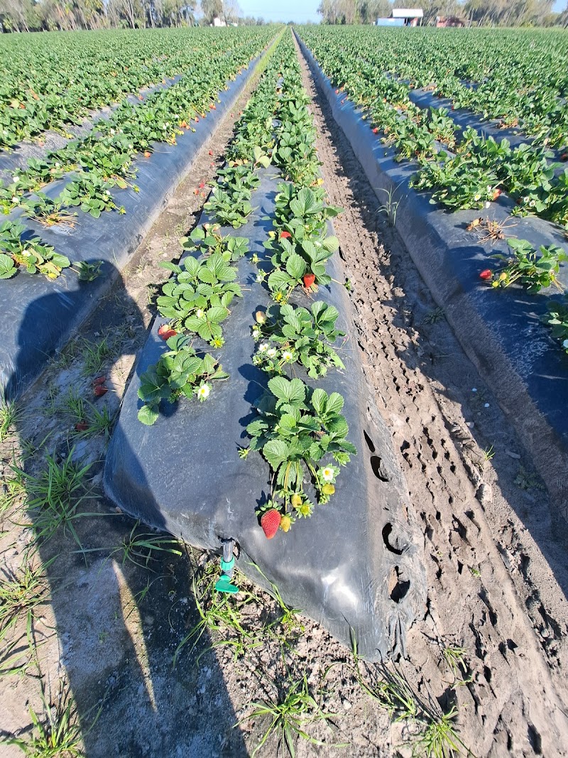 Photo of Hinton Farms