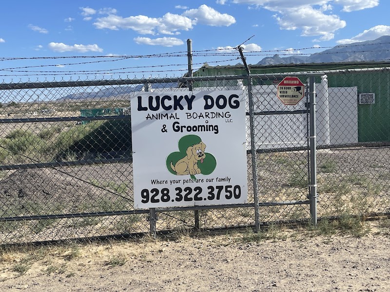 Lucky Dog Animal Boarding photo 2