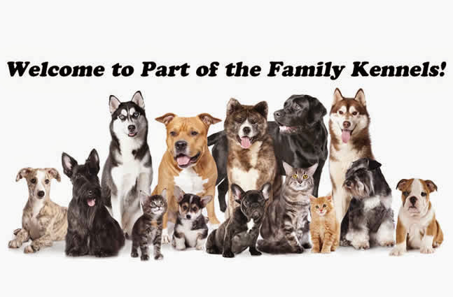 Photo of Part of the Family Kennels