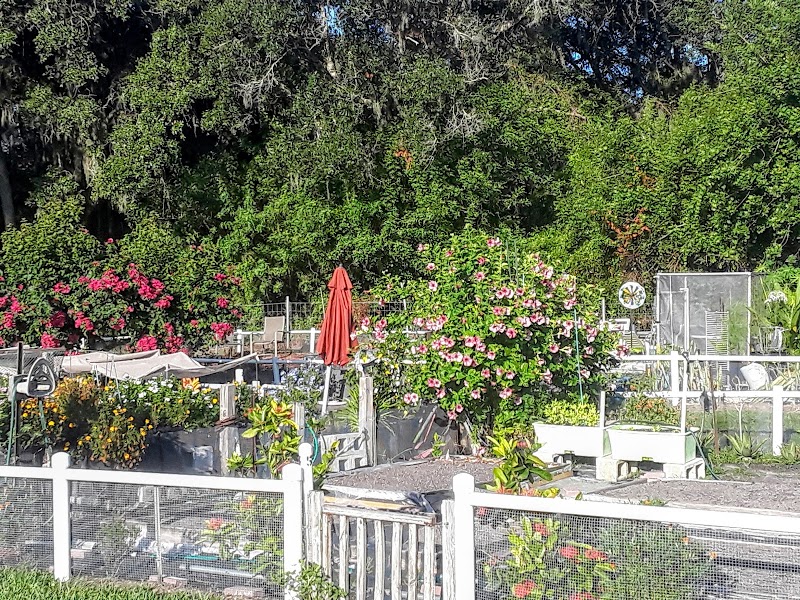 Kings Point Community Garden photo 5