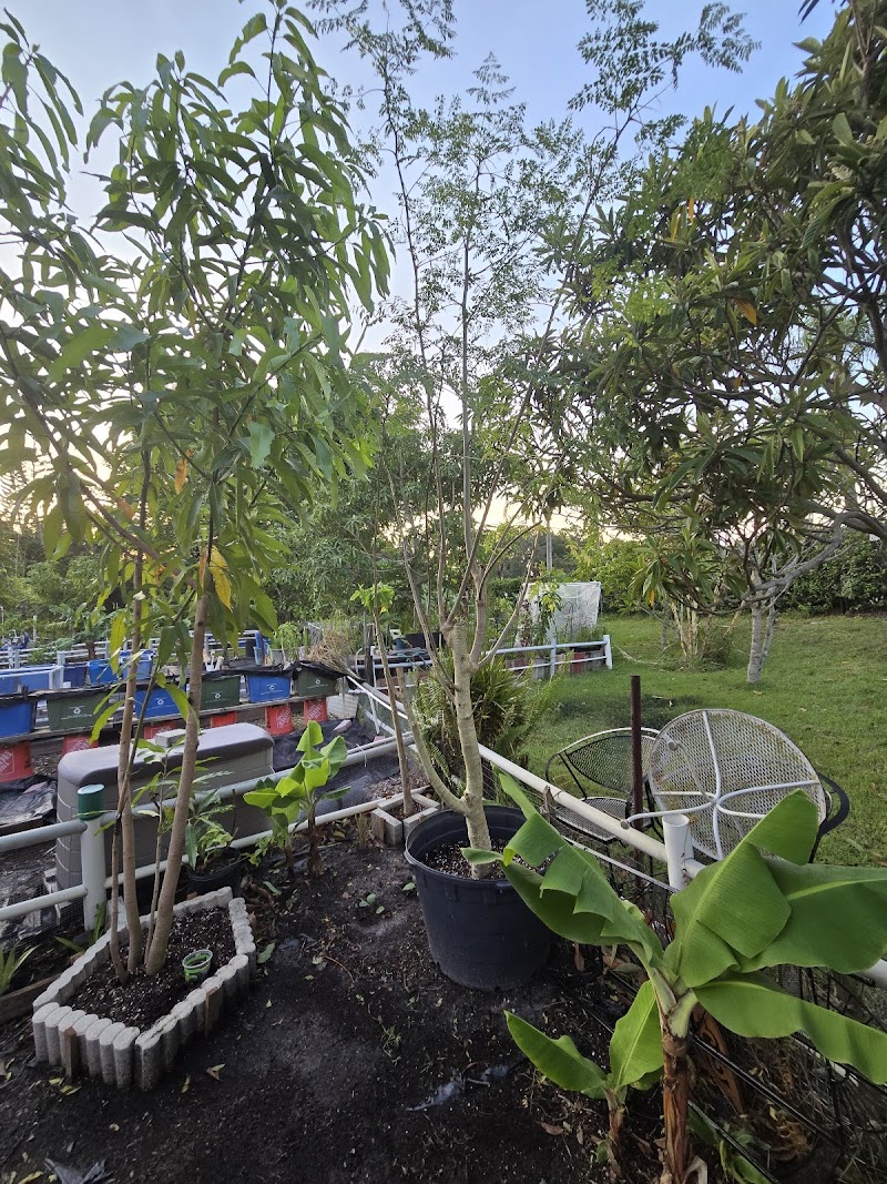 Kings Point Community Garden photo 3