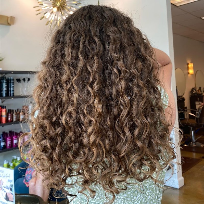 Shampoo the salon photo 5