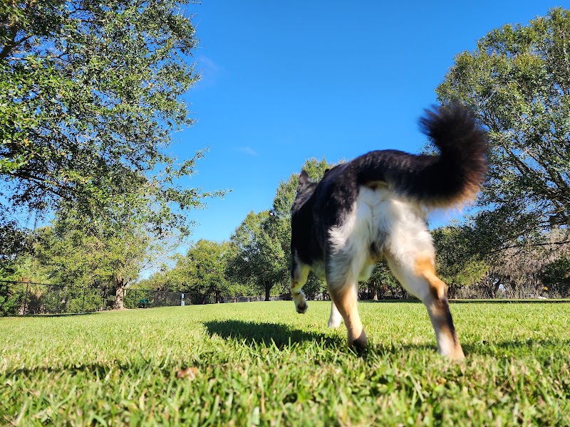 Bartow Dog Park photo 5