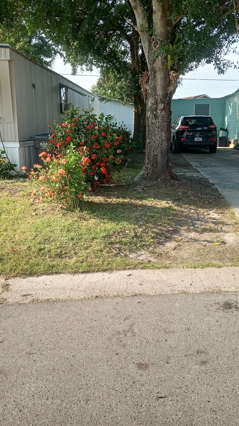 Photo of Alafia Mobile Plaza