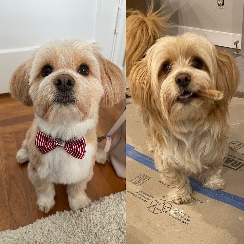 Photo of Pawsitive Karma