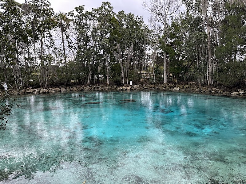 Photo of Three Sisters Springs