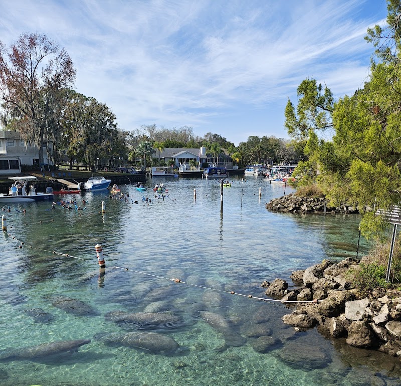 Three Sisters Springs photo 3